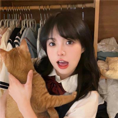 诺娃队长